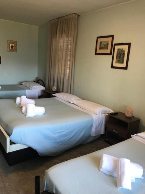 Hotel Carillon ラヴェーナ・ポンテ・トレーザ エクステリア 写真